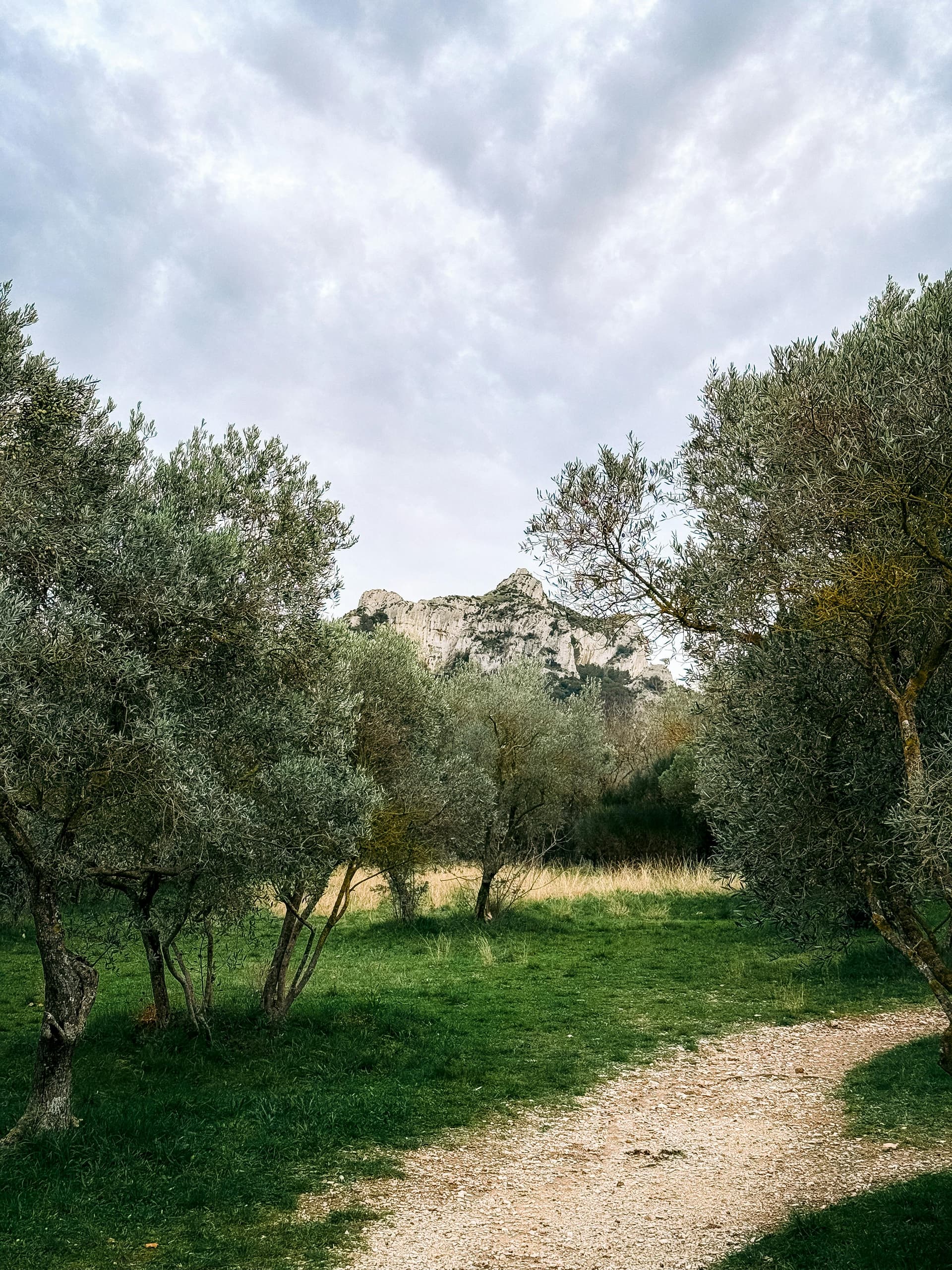 Illustration pour "Alpilles : villages rentables en location courte durée"