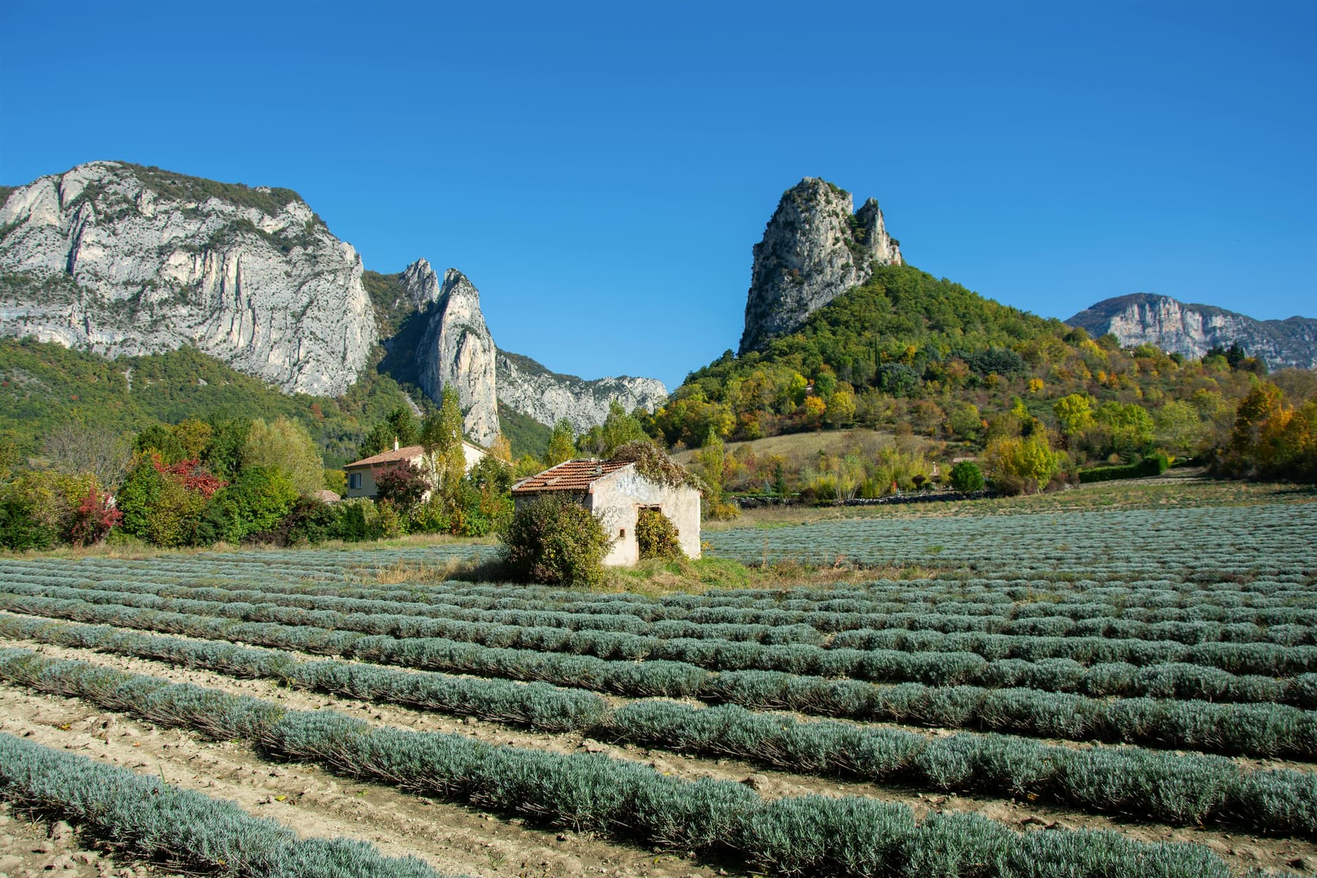 Illustration pour "Boulbon en Provence : vivre L’Astrado et le village"