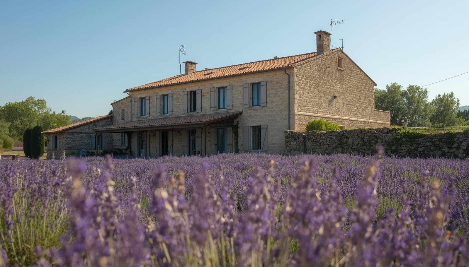 Photo de Mas des Oliviers — Vue Alpilles
